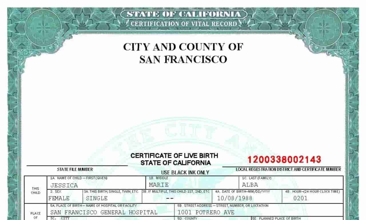 fake Birth-certificate