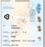 Get a Canadian birth certificate, Order a Canadian birth certificate, Apply for a Canadian birth certificate , Replace a Canadian birth certificate , Lost Canadian birth certificate